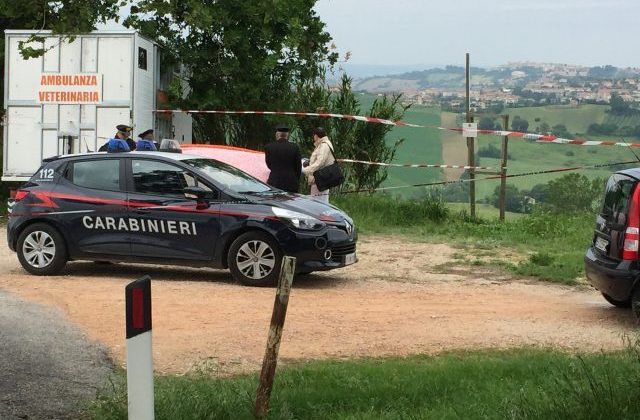 Omicidio del veterinario, chiesti 18 anni di condanna per Valerio Andreucci