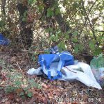 rifiuti abbandonati a San Silvestro, nella campagna di Senigallia