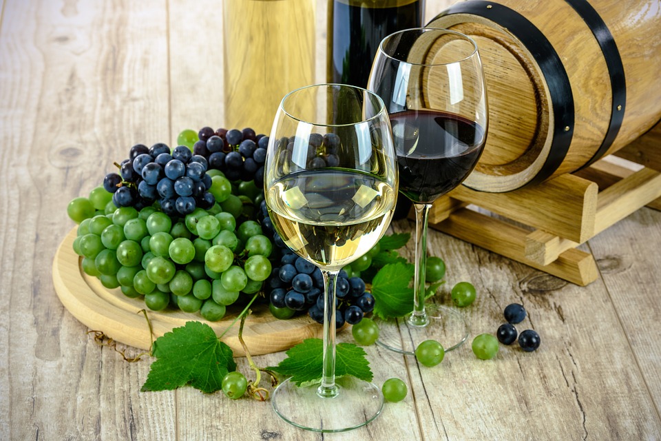 Pesaro scopre il turismo del vino, i vacanzieri in visita alle 230 cantine della provincia