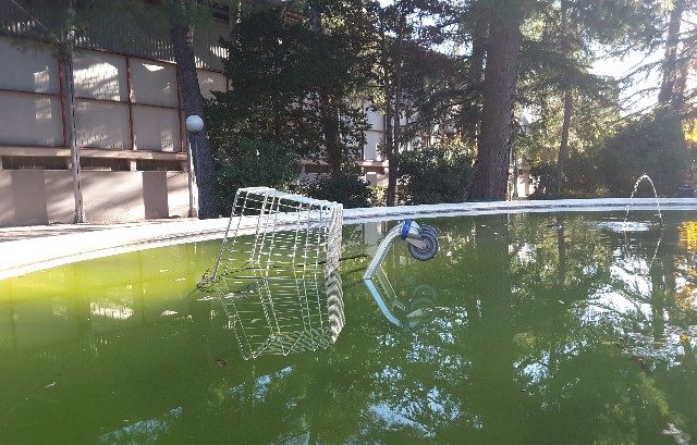 Il carrello della spesa gettato nella vasca dei giardini pubblici di Jes