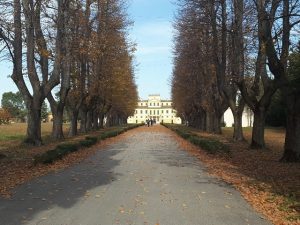 Il viale di Villa Salvati
