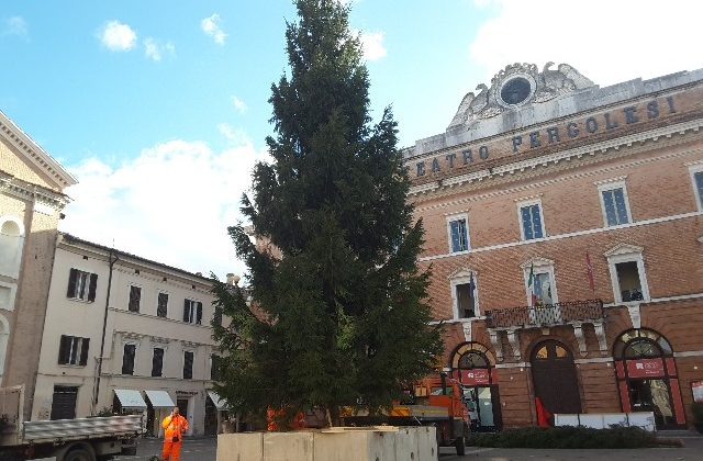 Il posizionamento dell'abete in piazza della Repubblica (foto di repertorio)