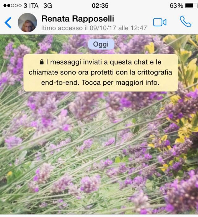 L'ultimo accesso a Whatsapp di Renata