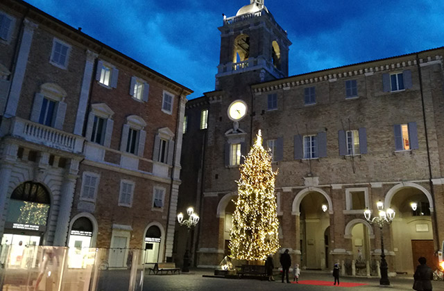 L'albero di natale in piazza Roma a Senigallia