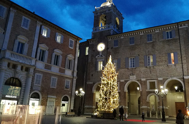L'albero di natale in piazza Roma a Senigallia