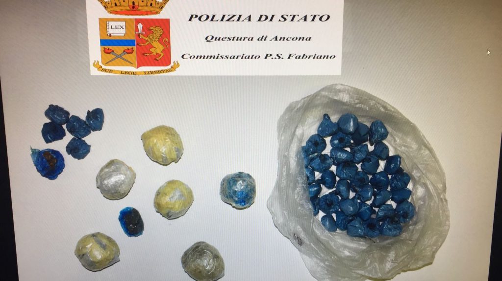 La droga sequestrata dalla Polizia di Fabriano