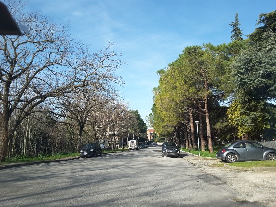 Via Staffolo, a Jesi, dove è avvenuto il furto