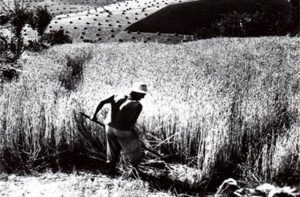 fotografia di Renzo Tortelli