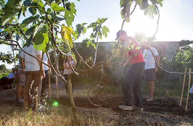 Agricoltura solidale: l'orto sociale promosso dalla Caritas di Senigallia