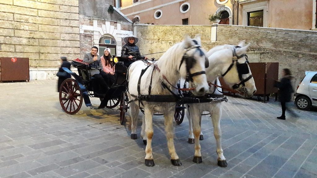 La carrozza con i cavalli per l'iniziativa del Comune