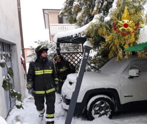 Pianta crolla su un gazebo