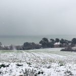 Il Taunus a Marcelli di Numana