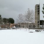 La neve a Senigallia lunedì 26 febbraio 2018: il parco in zona Cesanella