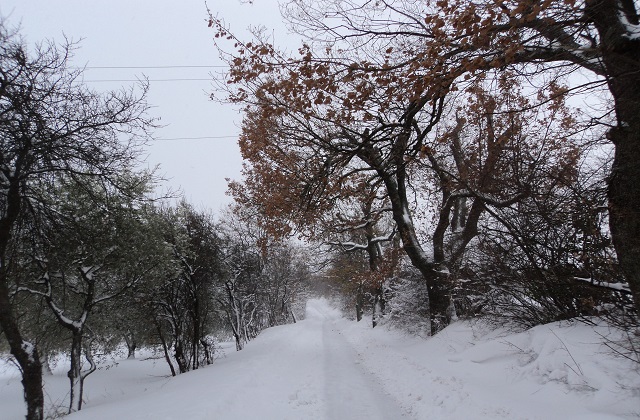 La nevicata del 2012 a Jesi, lungo via Montesecco