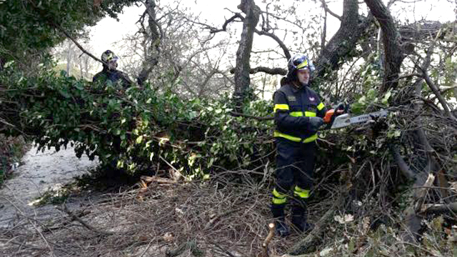 L'intervento dei pompieri (foto Vigili del fuoco)