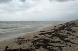 La spiaggia a Marzocca di Senigallia: mareggiate per il maltempo