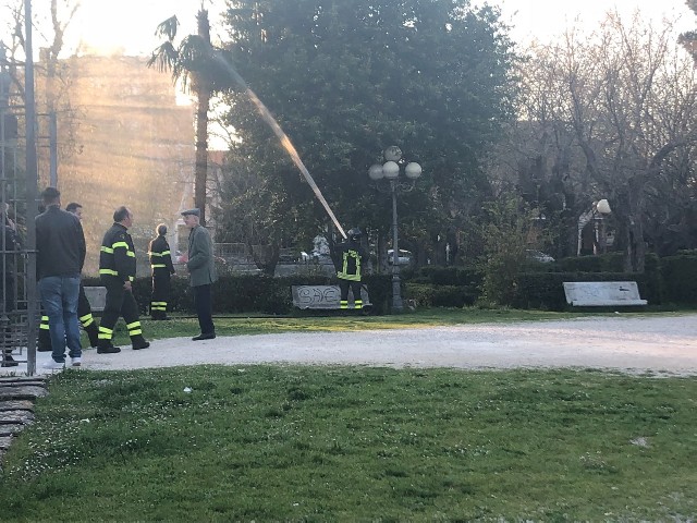 I Vigili del Fuoco ai giardini per spegnere l'incendio che aveva attecchito sulla palma