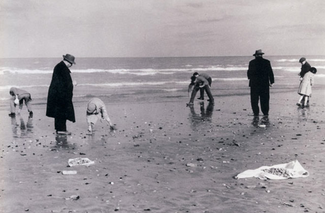 Fotografia di Riccardo Gambelli (1956), per gentile concessione dell'autore