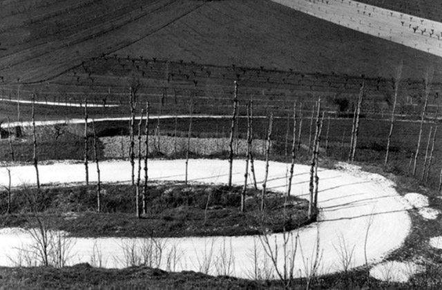Fotografia di Riccardo Gambelli (1958), per gentile concessione dell'autore