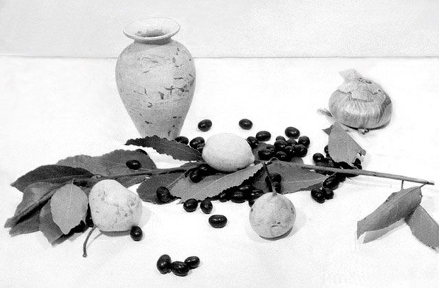 Fotografia di Riccardo Gambelli (1957), per gentile concessione dell'autore