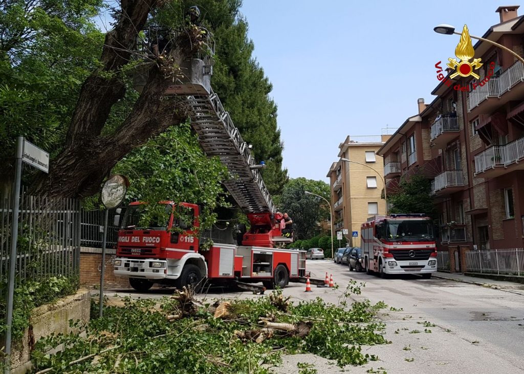 L'intervento dei vigili del fuoco