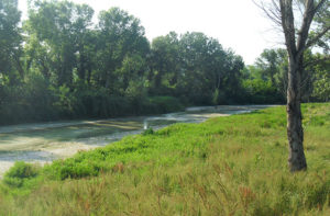 Il fiume Misa in zona Bettolelle: il punto dove sarà ristretto l'alveo per l'innesto delle vasche di espansione