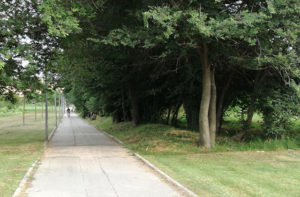 La pista ciclabile alla Cesanella di Senigallia