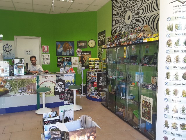 All Green Grow Shop