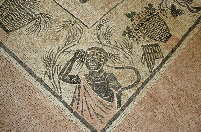 Archeologia, uno dei mosaici nell’area della Città Romana di Suasa