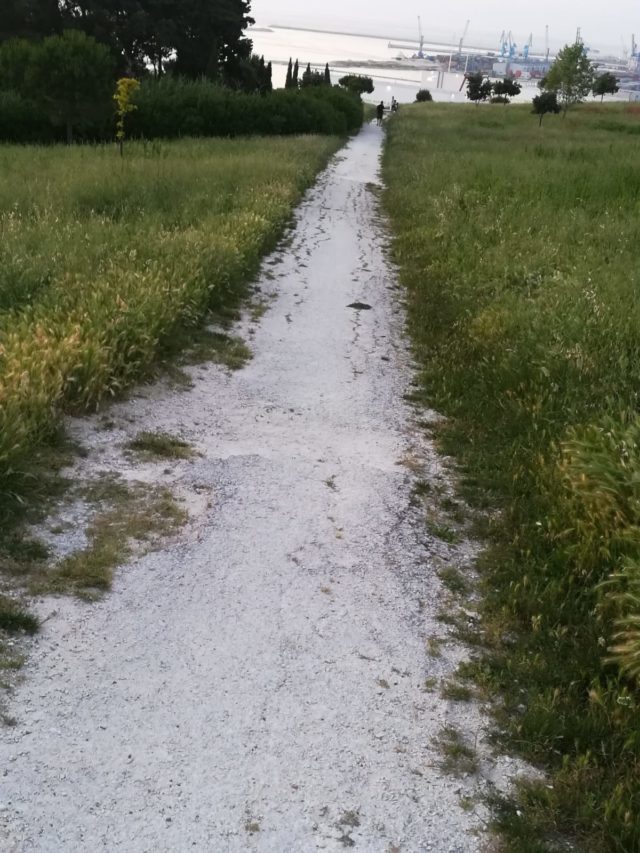 L'area del parco con i forasacchi