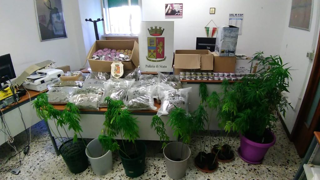 Le piantine e i prodotti di cannabis sequestrati dalla polizia