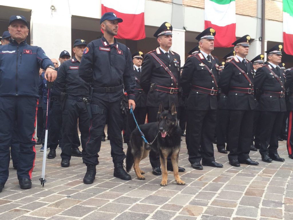 L'unità cinofila dei Carabinieri