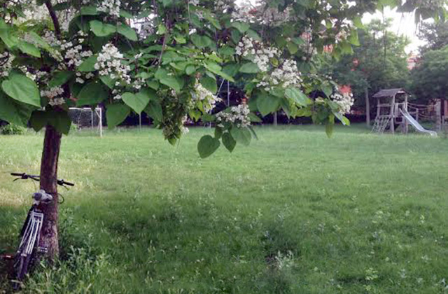 I giardini di via Rovereto a Senigallia