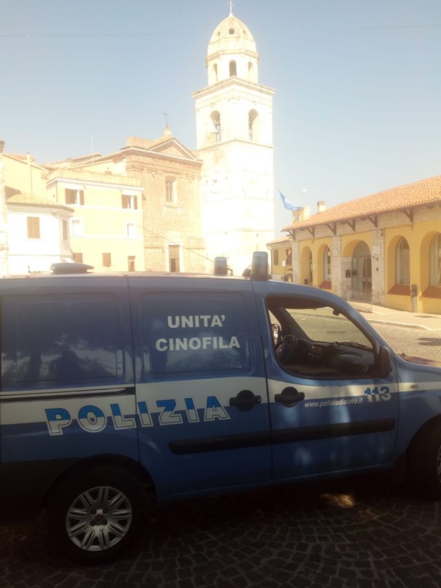 L'Unità Cinofila della polizia