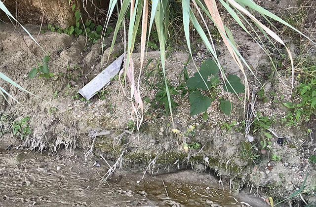 L'amianto rinvenuto sul fiume Cesano L'amianto rinvenuto sul fiume Cesano