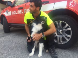 Alessandro Sampaolo con il cane Desmo, l'unità cinofila più giovane arrivata al comando di Ancona