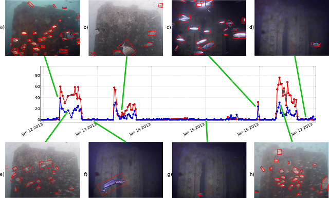 Esempi di riconoscimento automatico (riquadri rossi) durante differenti condizioni ambientali (giorno, notte, acqua limpida, acqua torbida ed organismi incrostanti sull’oblò della camera)
