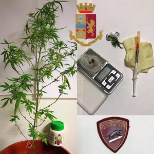 La piantina di Marijuana e la siringa sequestrate al tossicodipendente