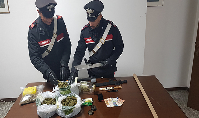 La droga e le armi sequestrati dai carabinieri di Osimo e dall'unità cinofila Anita di Pesaro