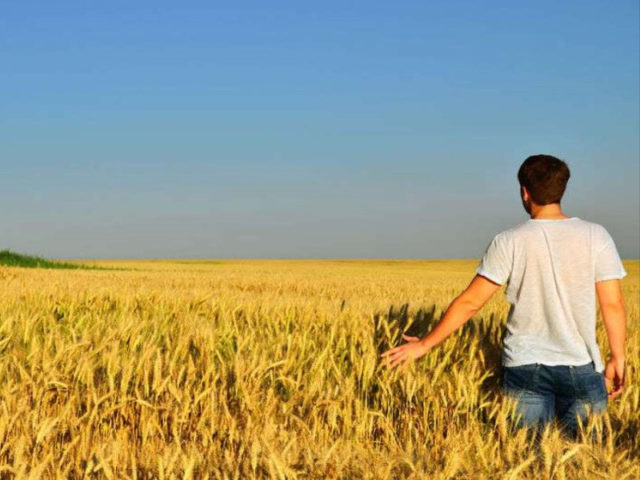 I giovani tornano ad investire sull'agricoltura ed i suoi frutti per il loro futuro