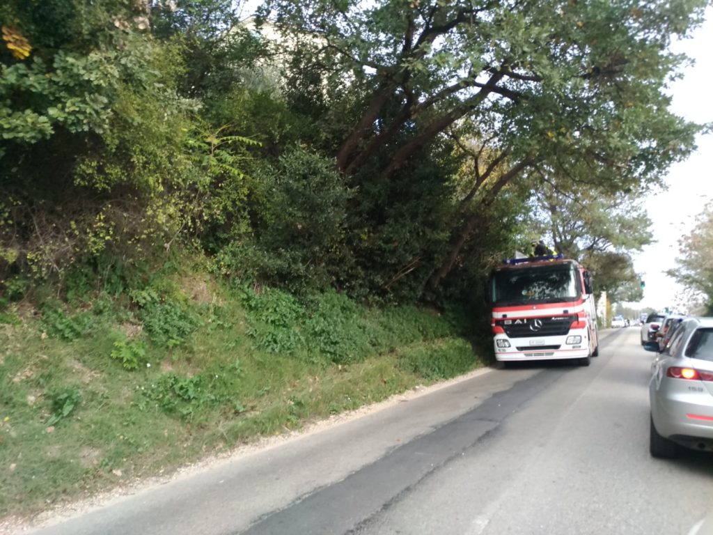 incidente via roma jesi