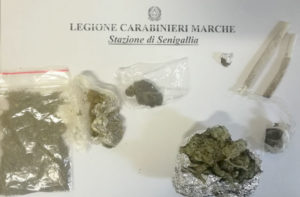 Lo stupefacente sequestrato dai Carabinieri grazie ai controlli antidroga