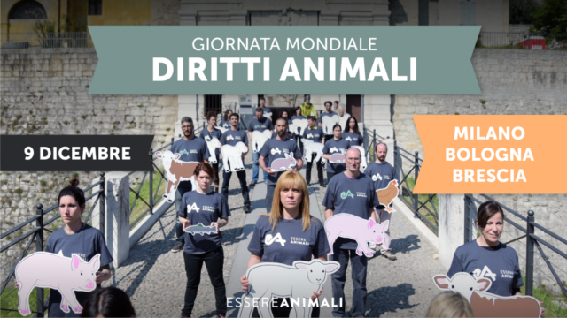 La manifestazione indetta da Essere Animali