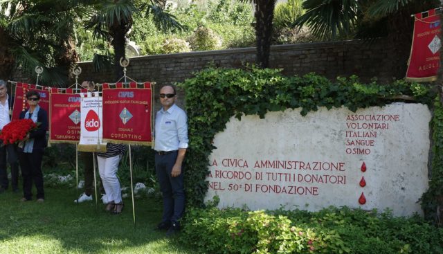Avis Osimo