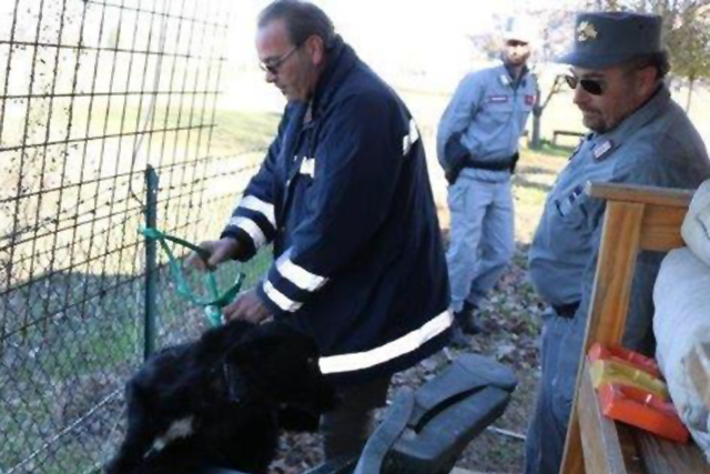 Forestali e polizia locale durante il blitz