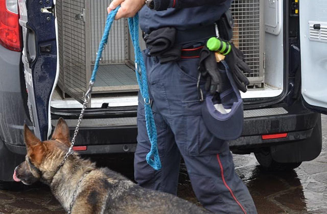 Un carabiniere con il pastore tedesco Anita