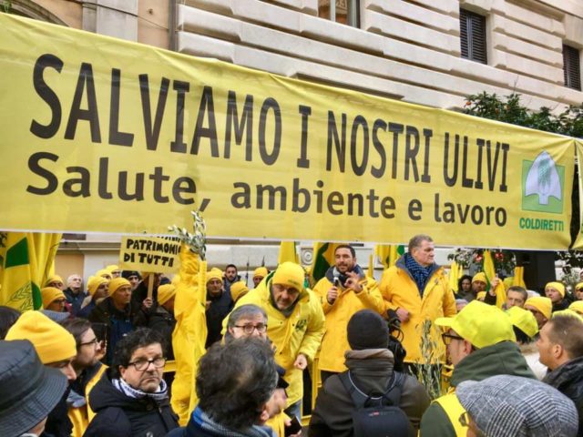mLa manifestazione di Coldiretti a Roma