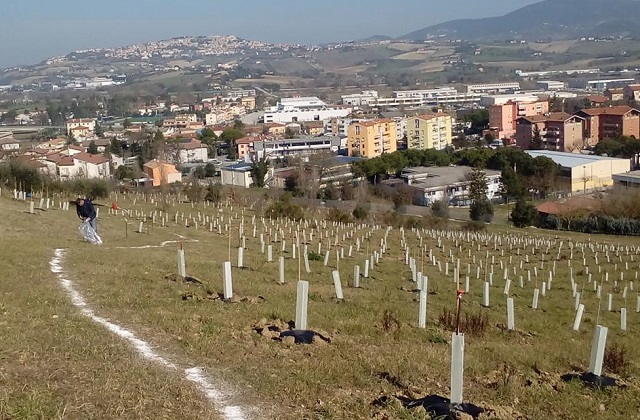 Il parco urbano prende forma a Osimo Stazione