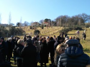 Il parco urbano