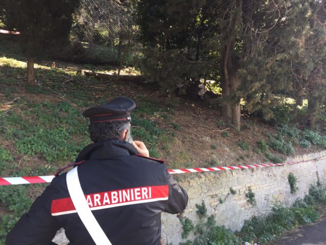 I carabinieri nell'area dove è stato ritrovato il corpo del giovane